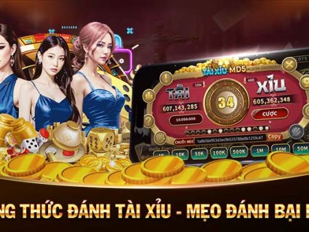 tha ku casino coi đá gà casino 🎰 trực tiếp_Rng h online la o hay khng