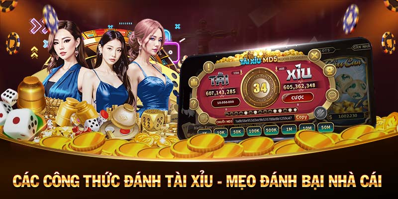 tha ku casino coi đá gà casino 🎰 trực tiếp_Rng h online la o hay khng